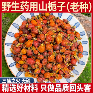 江西野生老种山栀子 500g农家生晒小个黄栀子果黄枝子栀子茶栀子