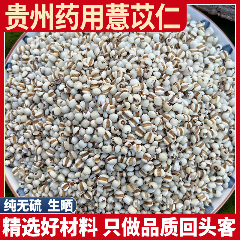 贵州入药薏苡仁 薏米仁 薏仁去壳薏米 薏仁米薏仁米500g 药玉米