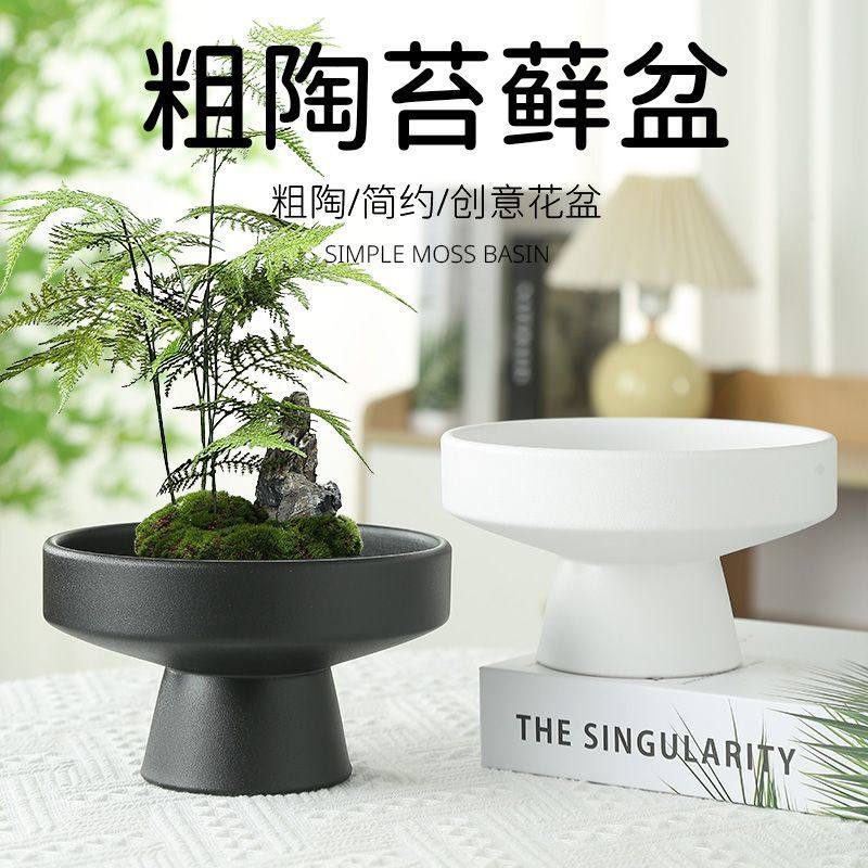 北欧风苔藓球花盆玻璃球微景观盆栽植物桌面装饰家居托盘清新图片