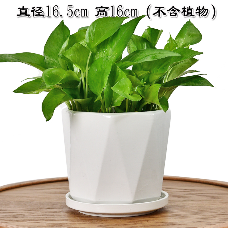 白色花盆陶瓷清仓带托盘现代简约创意个性特价家用吊兰绿萝特大号