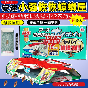 日本进口安速蟑螂屋粘板贴小强恢恢安全诱饵盒全窝端灭蟑螂贴厨房