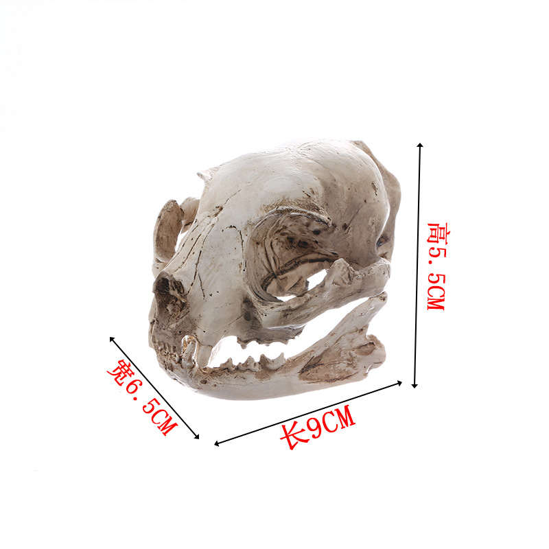 猫头骨树脂工艺品骷髅头摆件