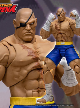 ST Storm Toys ARENA 街霸3  1:12 沙加特手办
