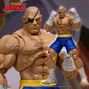 ST Storm Toys ARENA 街霸3  1:12 沙加特手办