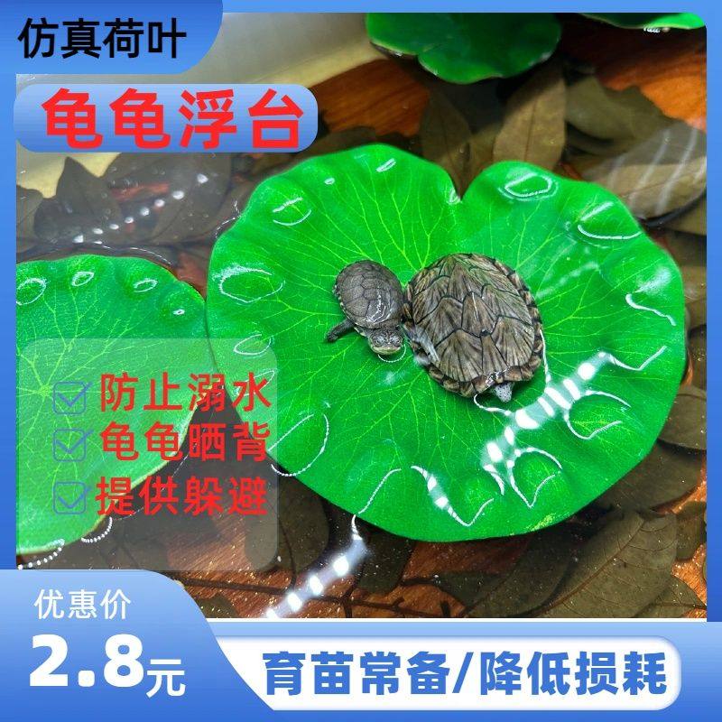 荷叶乌龟晒台浮台用品巴西龟爬台龟缸造景爬坡水族箱浮岛晒背台