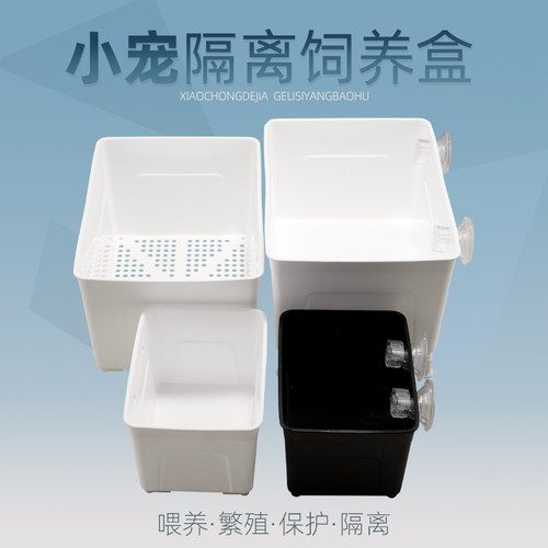 半紫半红乌龟苗隔离盒