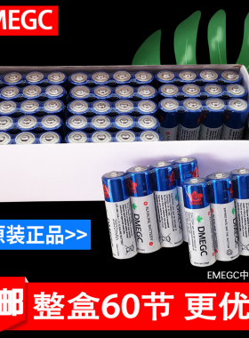5号电池普通碱性DMEGC五号干电池非可充电指纹锁专用2600mAh高容