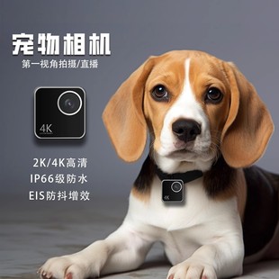 猫咪狗狗宠物第一视角2K防抖智能相机摄像机拍摄直播记录 新品