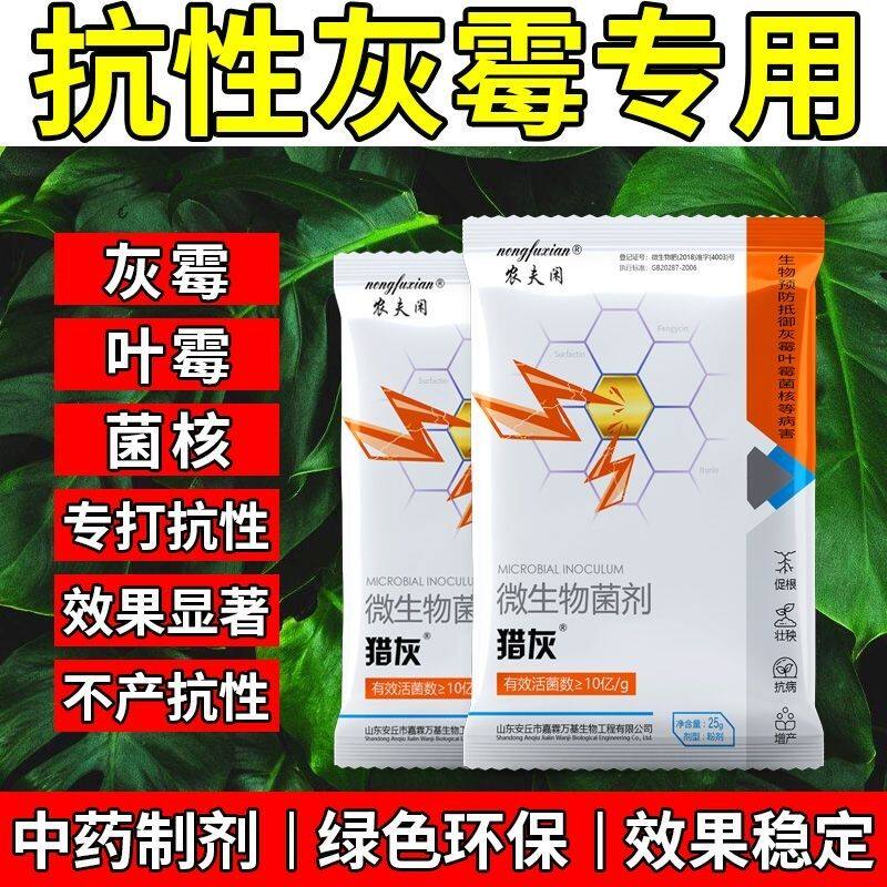 猎灰灰霉病专用大棚蔬菜果树菌核病叶霉中药提取无药害西红柿草莓