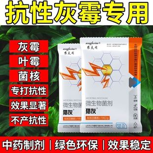 猎灰灰霉病专用大棚蔬菜果树菌核病叶霉中药提取无药害西红柿草莓