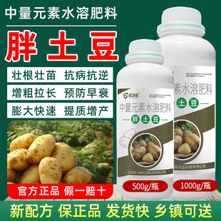 胖土豆拌种剂地下根茎膨大素土豆红薯地瓜马铃薯大蒜生姜专用肥料