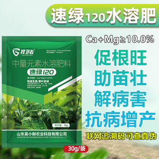 速绿120叶绿素叶面肥中量元素水溶肥一喷绿大蒜黄叶病专用绿叶素