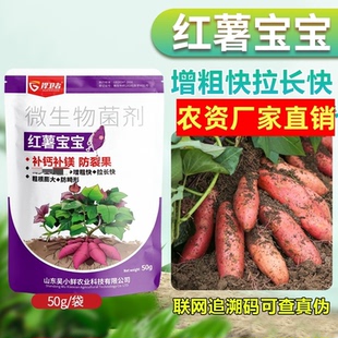 红薯宝宝快速膨大控上促下防裂果正品叶面肥防止畸形补充营养拉长