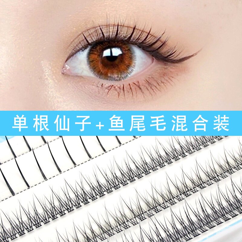 单根仙子 鱼尾朵毛五排混合装自然假睫毛自嫁接单簇眼睫毛小红书