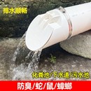 排水管止逆阀止回阀110防臭器下水管排污管堵口75配件户外防老鼠