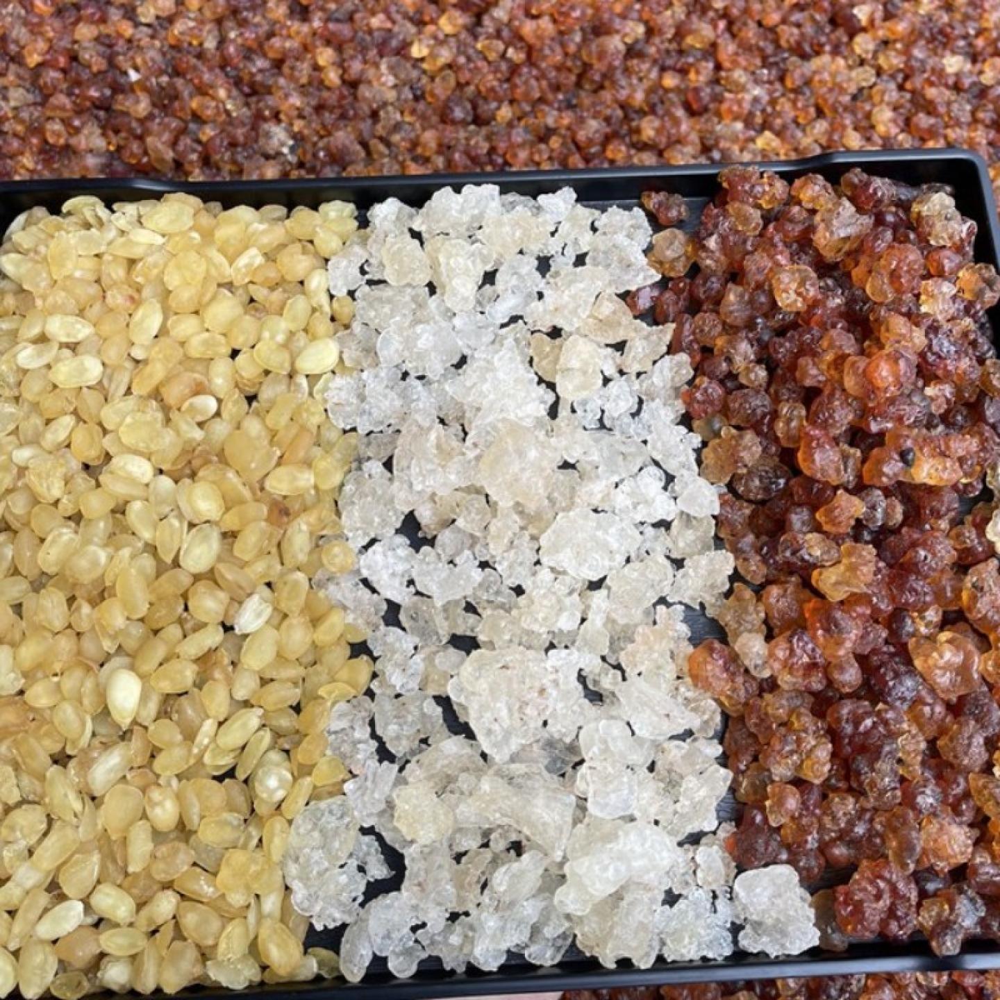 雪莲子 雪燕皂角 黄桃胶 珍珠桃胶散装500克皂角米伴侣煲汤水养生