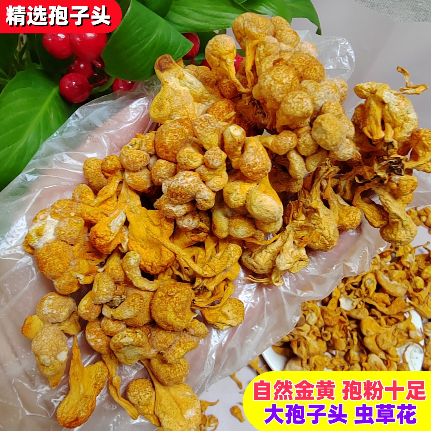 精选大孢子头虫草花干货 无硫熏 蛹虫草金虫草 煲汤滋补 养生食材