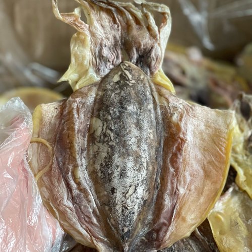 墨鱼干 海鱼干货 东海乌贼干淡水淡晒 滋补大号目鱼干 煲汤海产品