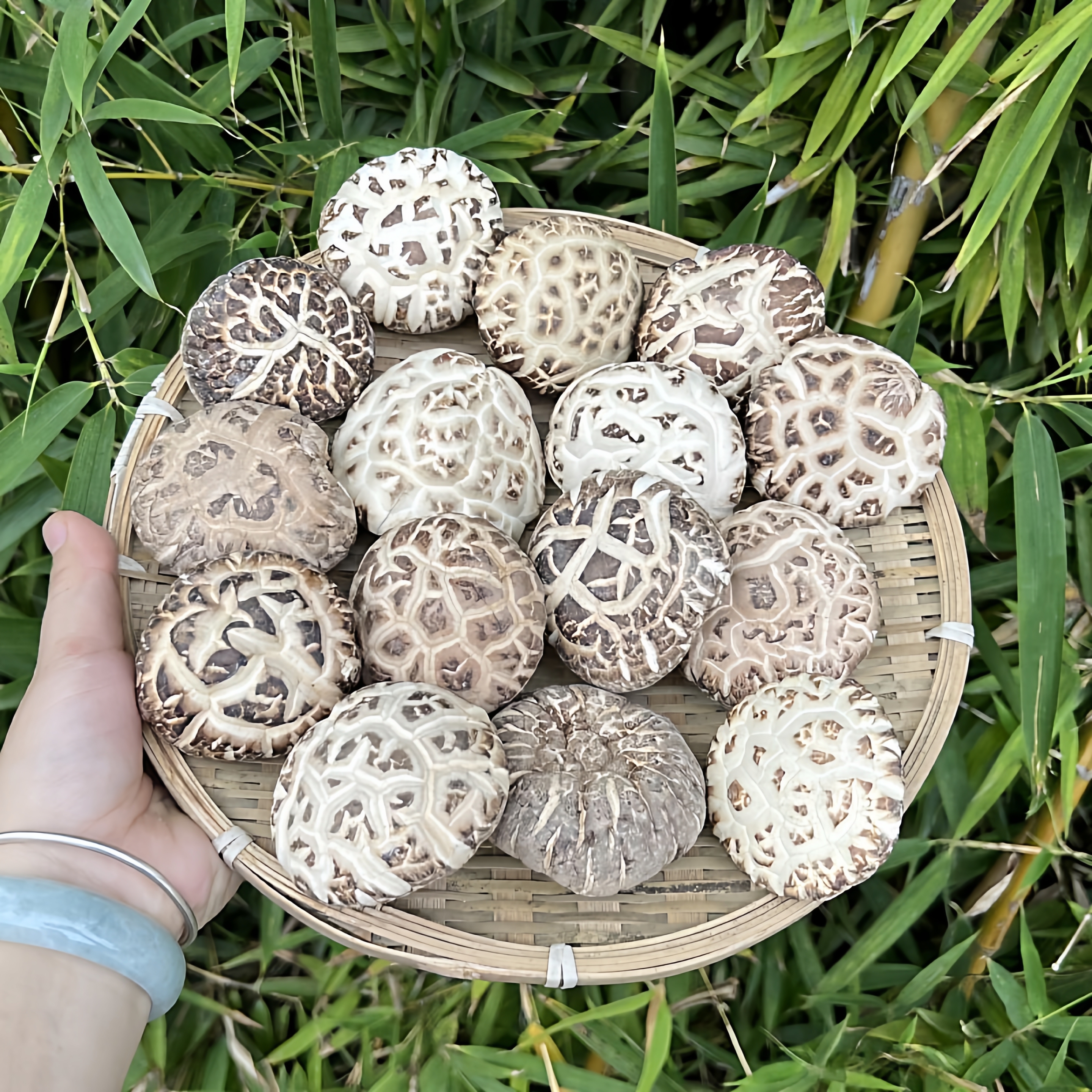 东北大号花菇干货500g椴木干香菇菌菇类 蘑菇冬菇 煲汤饨鸡年货节