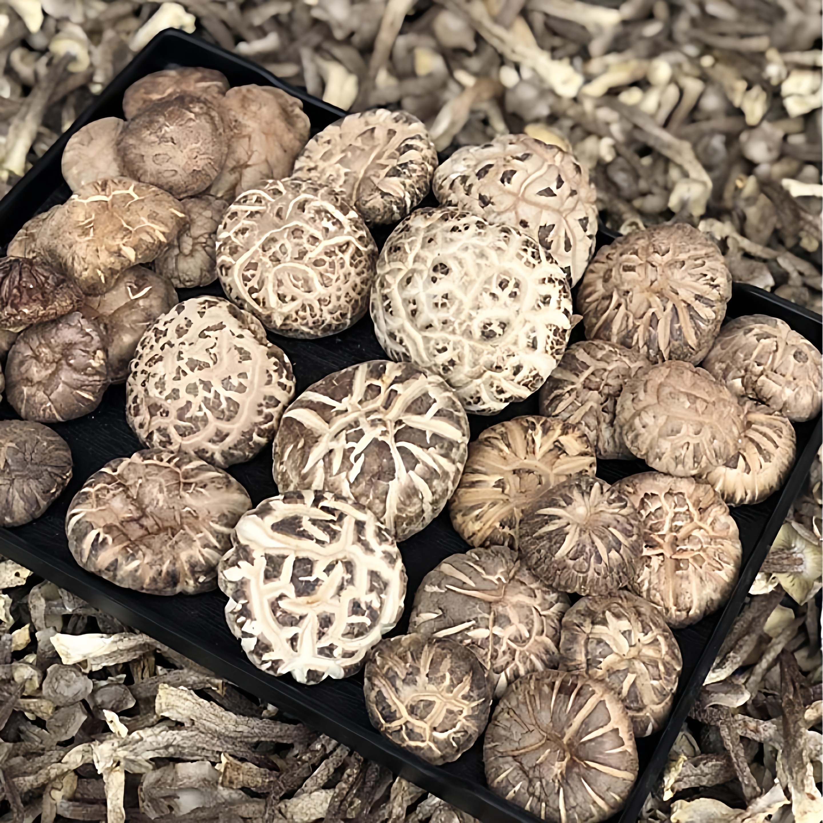 椴木大花菇 厚肉养生干香菇干货500g 冬菇蘑菇饨鸡汤煲汤年货送礼