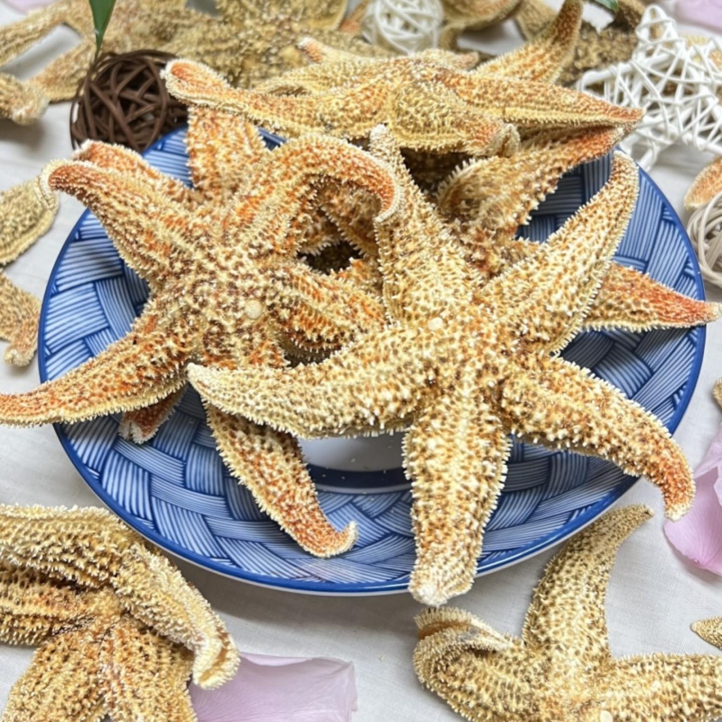 中药材滋补煲汤泡酒料