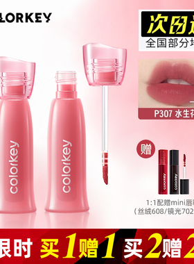 全新Colorkey珂拉琪水雾唇露307唇釉女唇彩低饱和口红女r300哑光
