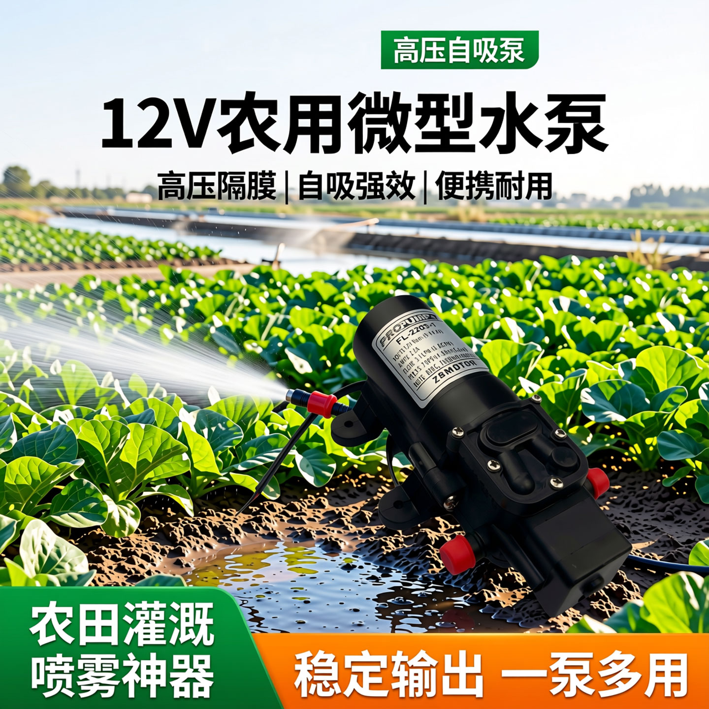 12v水泵抽水灌溉浇地浇菜农用高压直流隔膜泵FL-2203-1喷雾器电动
