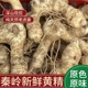 秦岭正品 新鲜野生黄精现挖现发鸡头黄精老虎姜老黄精炖汤泡酒5斤