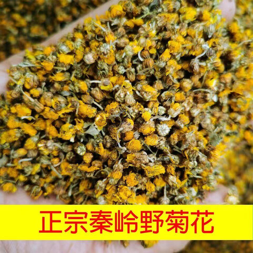 新货秦岭特级野生菊花茶正品野菊花胎菊小野菊苦菊干米菊散装500g
