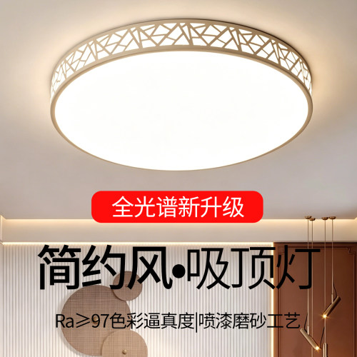 2026新款简约现代大气吸顶灯