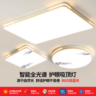 客厅大灯吸顶灯饰轻奢家用大厅主卧室吊灯具现代简约大气2025新款