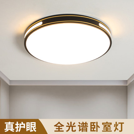 2025新款阳台led吸顶灯饰现代简约大气客厅大灯主卧室吊灯具大全