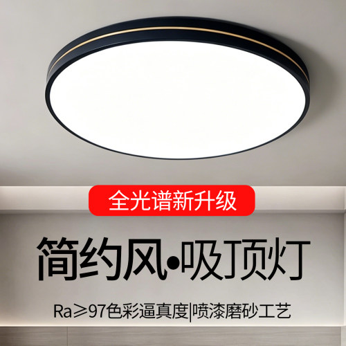 2026新款简约现代大气吸顶灯