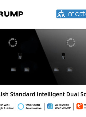 147Matter智能双插座homekit墙壁插座英规带计电量功能APP远程