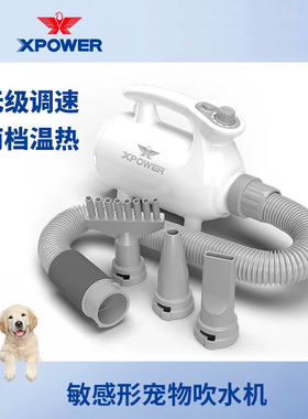 XPOWER家用低噪音宠物吹水机快速吹干猫狗洗澡吹毛风干神器B-113