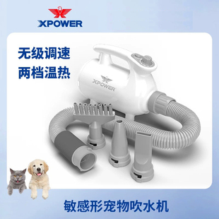 XPOWER家用低噪音宠物吹水机快速吹干猫狗洗澡吹毛风干神器B-113