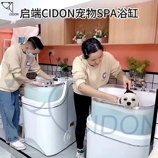 启端CIDON宠物猫狗SPA机牛奶浴泡澡浴缸游泳缸大小型犬游泳洗澡池