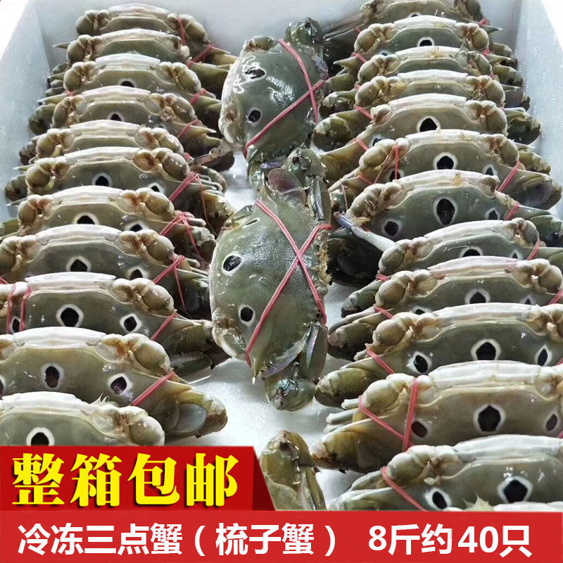 三点蟹冰冻整箱约50-60个三目蟹30/50三点梳子蟹三眼青蟹广东包邮