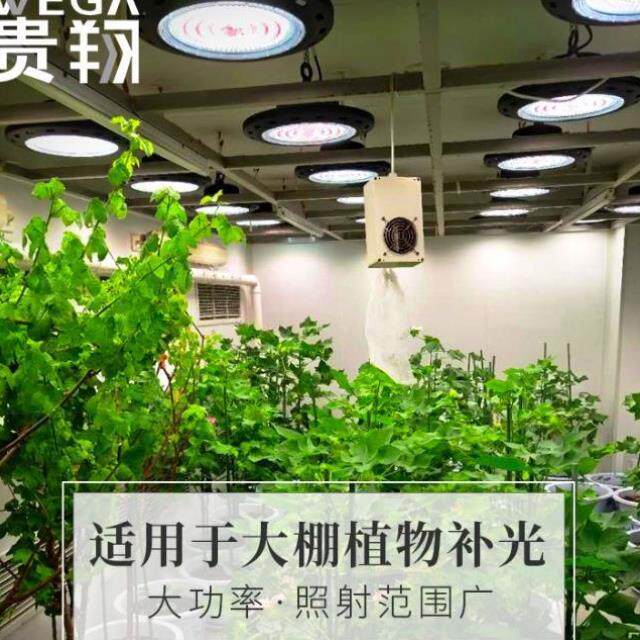 贵翔 全光谱植物生长灯多肉补光灯家用飞碟式led室内花卉仿太阳光