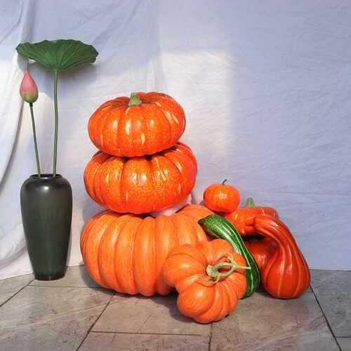 Halloween Display Pumpkin Prop 万圣节展示南瓜