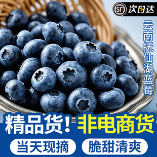 云南花香蓝莓新鲜水果特大果礼盒高山蓝莓鲜果超山姆顺丰空运