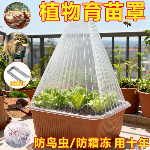 加厚可重复用育苗防霜防鸟钟罩