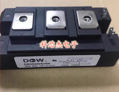 DM2G200SH6N 全新/拆机 质量保证 现货供应