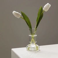 Nordic ins ins windscreen vase clorge Manragement tulip гостиная высококачественная украшения интернет-знаменитость цветочный чайный стол ниша