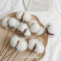 Chicfun Cotton Real Flowers Высушенные цветы