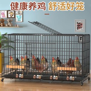 鸡笼子家用养殖笼小号大号特大号自动滚蛋清粪折叠鸡舍鸡窝笼子