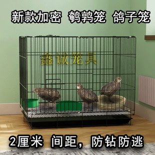 新型鸽子笼养殖笼配对笼繁殖加密小鸡笼子家用室内大号鹌鹑专用笼