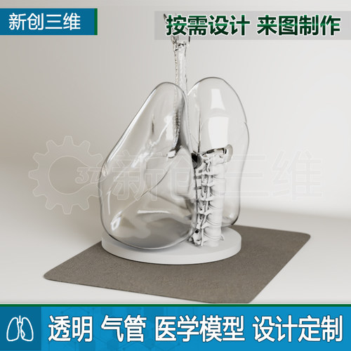 3D打印透明肺肺叶支气管模型定制