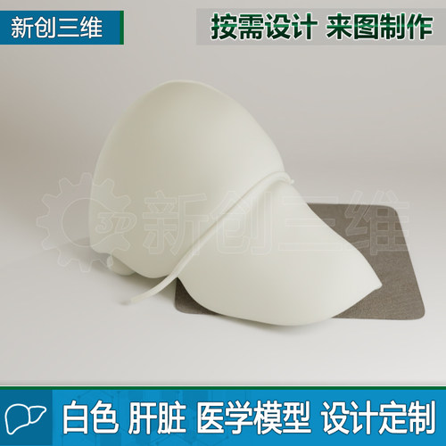 3D打印透明肝脏教学教具医学定制