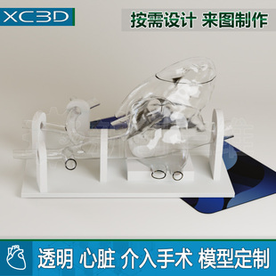 可拆卸透明心肺血管心脏介入手术模型冠状动脉射频消融术封堵术